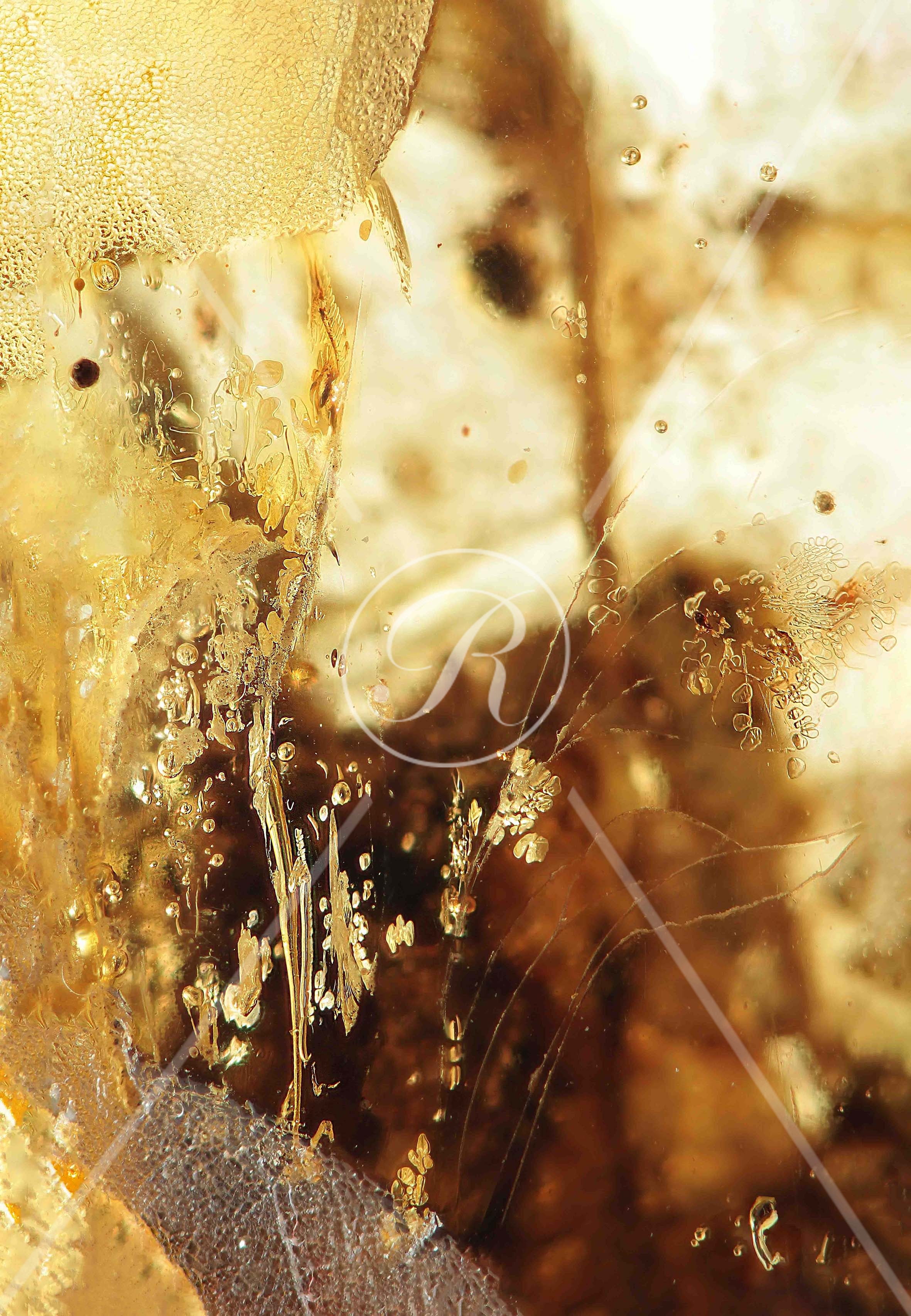 Watermark_212_N139 .jpg